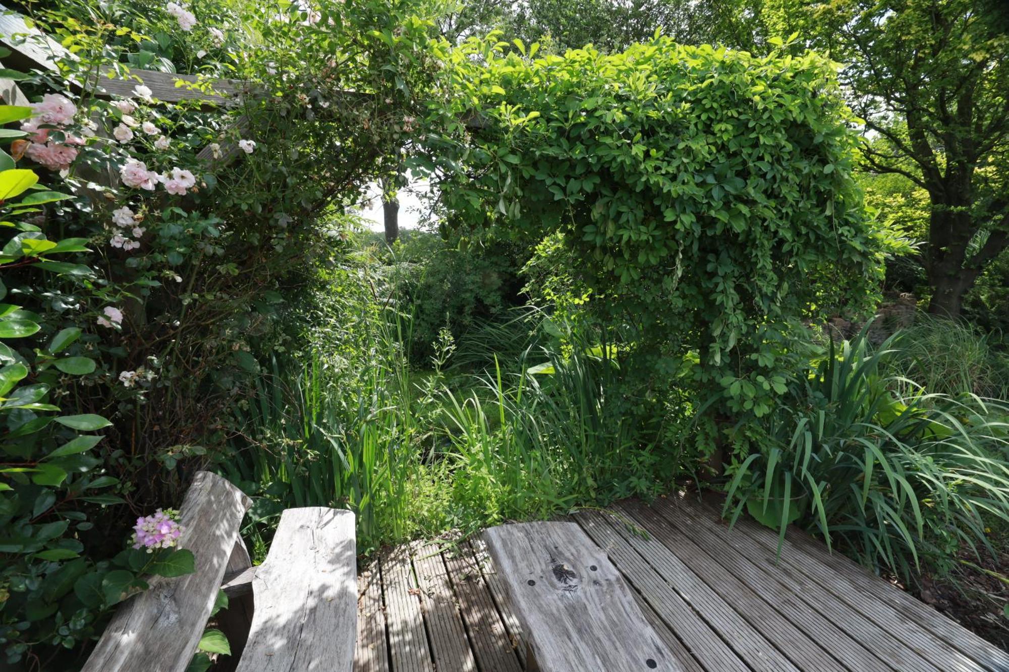Wellnessappartement 'T Wechtertje Wijhe ภายนอก รูปภาพ